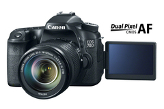 Rentals: Canon 70D with Lens 18 - 135