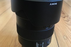 Rentals: Sony G lens 24-105 F4