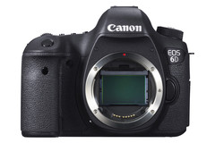 Rentals: Canon 6D Body 