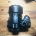 Rentals: Nikon D3100 Body