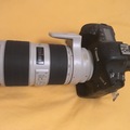 Rentals: canon 70-200 2.8