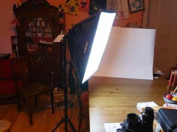 Rentals: Walimex Daylight 250 with Softbox 40 x 60 cm - weekly rate