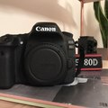 Rentals: Canon 80D + 50mm 1.4