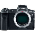 Rentals: Canon EOS R w/ EF 24-105