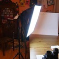 Rentals: Walimax Daylight 250 with Softbox 40 x 60 cm - daily rate