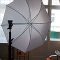 Rentals: Walimex pro light stand 2,65m and an 83cm translucent white 