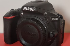 Rentals: Nikon D5600 + 18-55mm + 70-300mm