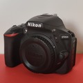 Rentals: Nikon D5600 + 18-55mm + 70-300mm