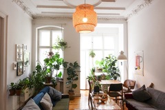 Studio/Spaces: Plant filled Altbau apartment 