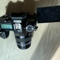 Rentals: Panasonic LUMIX G9 + LUMIX G 35-100 mk2 F2.8