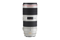 Rentals: Canon EF70-200mm f/2.8L IS II USM 