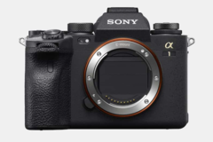 Rentals: sony alpha 1