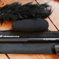 Rentals: Sennheiser MKE600 shotgun mic - daily rate