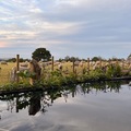 Studio/Spaces: Rural Setting / Secluded Garden / Hint of Japanese Inspiration