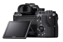 Rentals: SONY A7RII FOR RENT