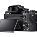 Rentals: SONY A7RII FOR RENT